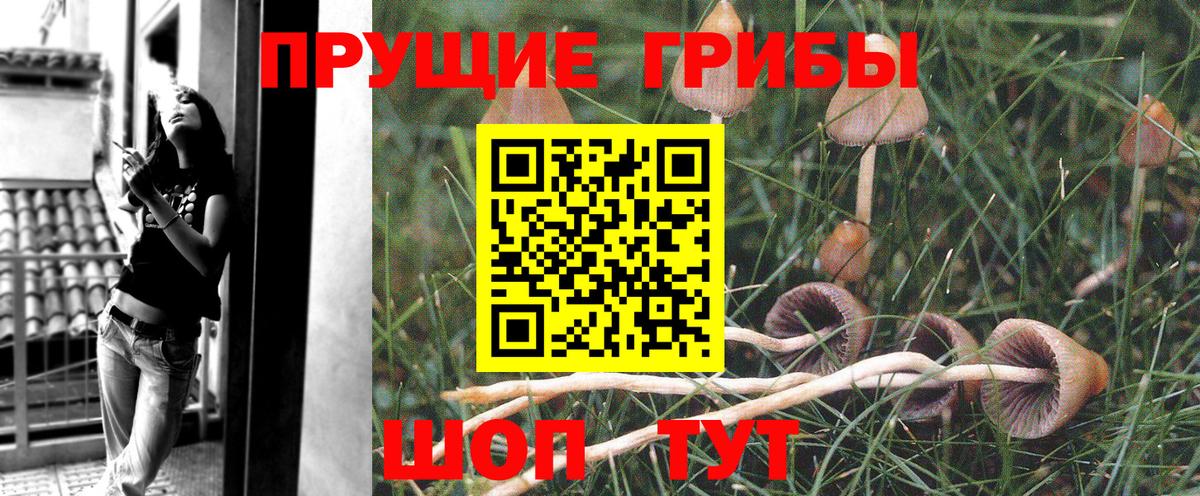 Первоуральск  Галлюциногенные грибы прущие грибы  Вход с VPN 